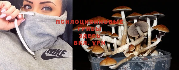 ALPHA PVP Магас