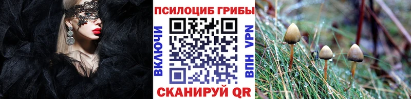 как найти закладки  Тула  Псилоцибиновые грибы ЛСД 
