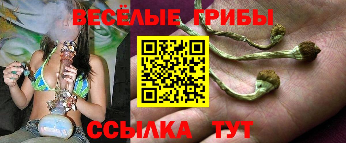 Галлюциногенные грибы GOLDEN TEACHER Тула