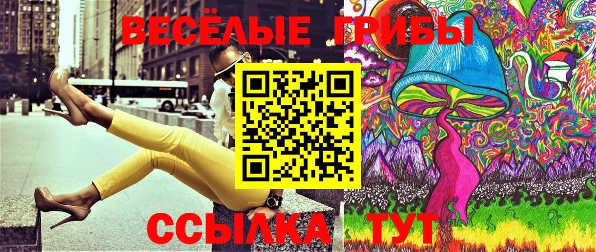Тула  Псилоцибиновые грибы GOLDEN TEACHER  Галлюциногенные грибы мицелий  Вход с VPN 