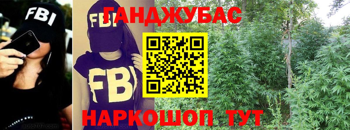 Каннабис план Тула